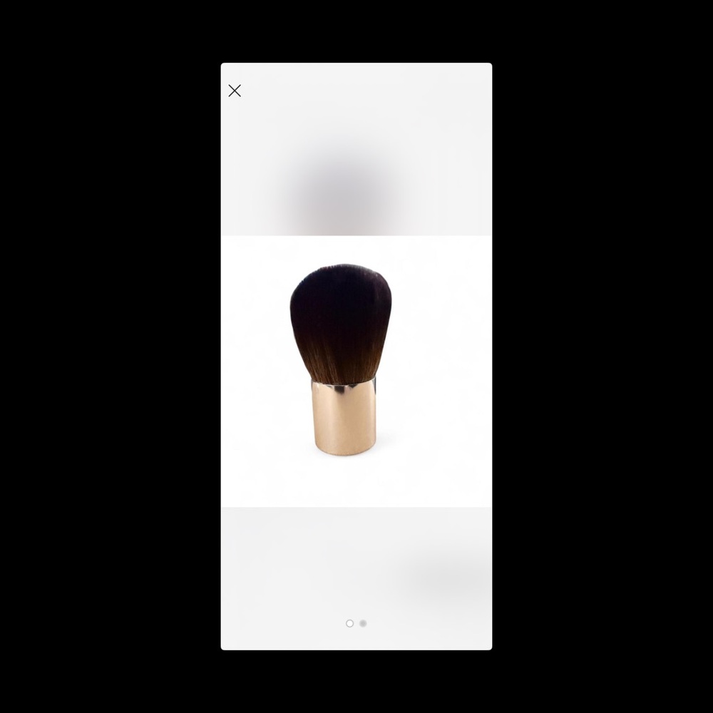 Borghese Kabuki Brush